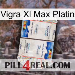 Vigra Xl Max Platinum kamagra1